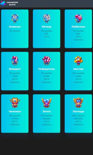 Программа лояльности